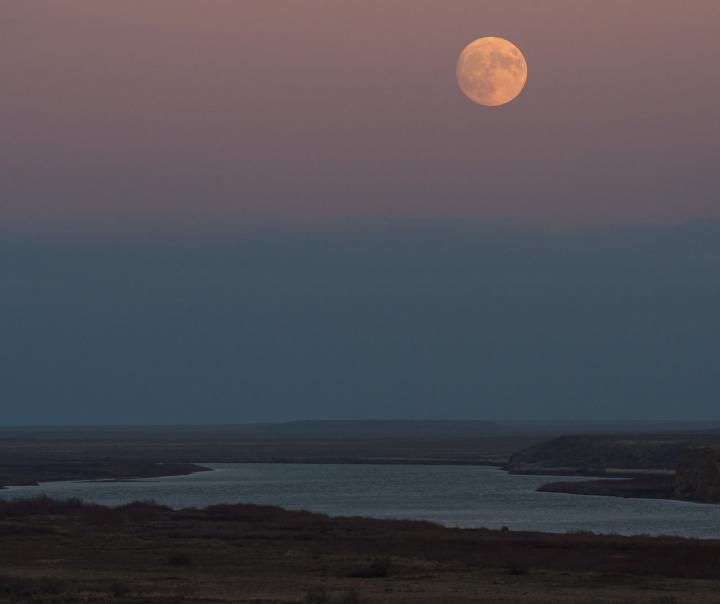 Фото: Восход луны над рекой Сырдарья, воскресенье, 13 ноября 2016 года, Байконур, Казахстан